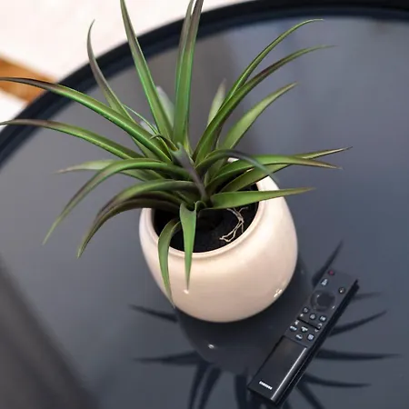 アパート Deluxe & Cozy Located Joseph Boulevard *